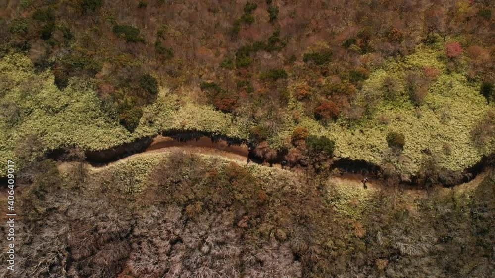 Overhead aerial over people on a hiking path in green outdoor setting Overhead aerial over people on a hiking path in green outdoor setting