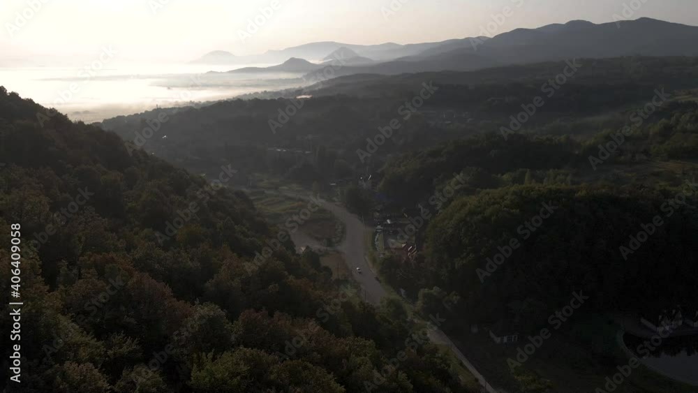 Tilting shot towards road cutting a path through forested landscape. Aerial Tilting shot towards road cutting a path through forested landscape. Aerial