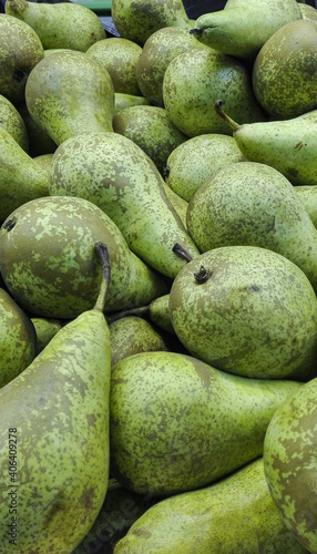 ripe pears, green pears