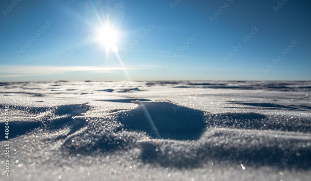 Obraz premium Frost morning of polar spring.