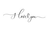 I love you - handwritten inscription isolated on white background. Valentine's day design.