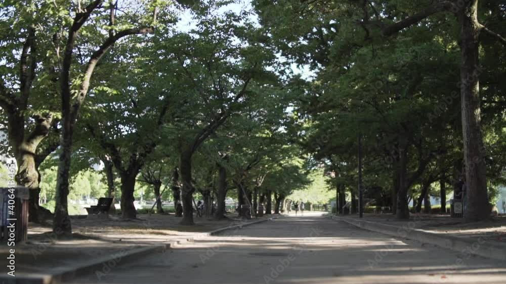 Quiet Path between Trees in Hiroshima Peace Park, Japan Quiet Path between Trees in Hiroshima Peace Park, Japan