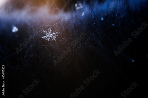 Macro photography of a snowflake. Every detail is visible on a snowflake. Fairytale patterns. Snowflake isolated on dark background: macro photo of real snow crystal.