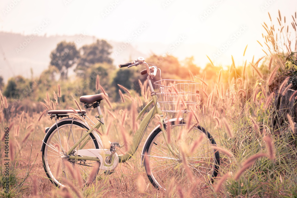 Naklejka premium Single bicycle parking on grass flower nature