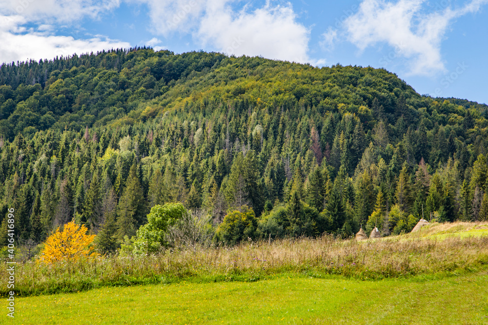 beautiful green glade with background trees on the mountain with blue sky. Nature background. beautiful green glade with background trees on the mountain with blue sky. Nature background.