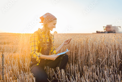 Fototapeta Farmer on a field during harvest with clipboard