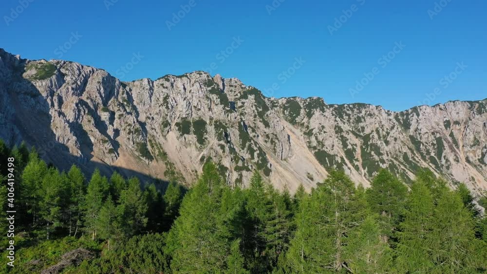 Aerial establish shot of Petzen mountain from pine forest. Camera pan right Aerial establish shot of Petzen mountain from pine forest. Camera pan right