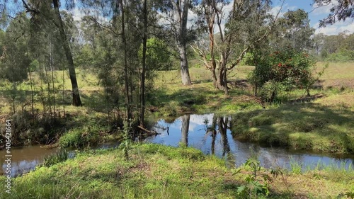 Slow, stylish tracking shot of a peaceful and shady Australian creek and waterhole, surrounded by lush green bushland photo