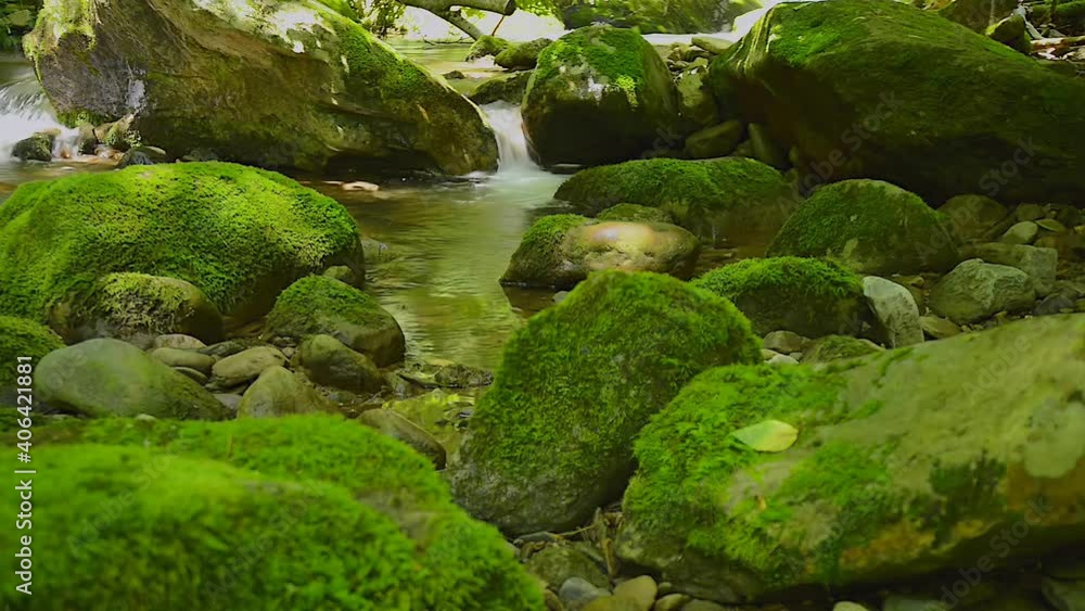 Spivey Creek in Eastern Tennessee Spivey Creek in Eastern Tennessee
