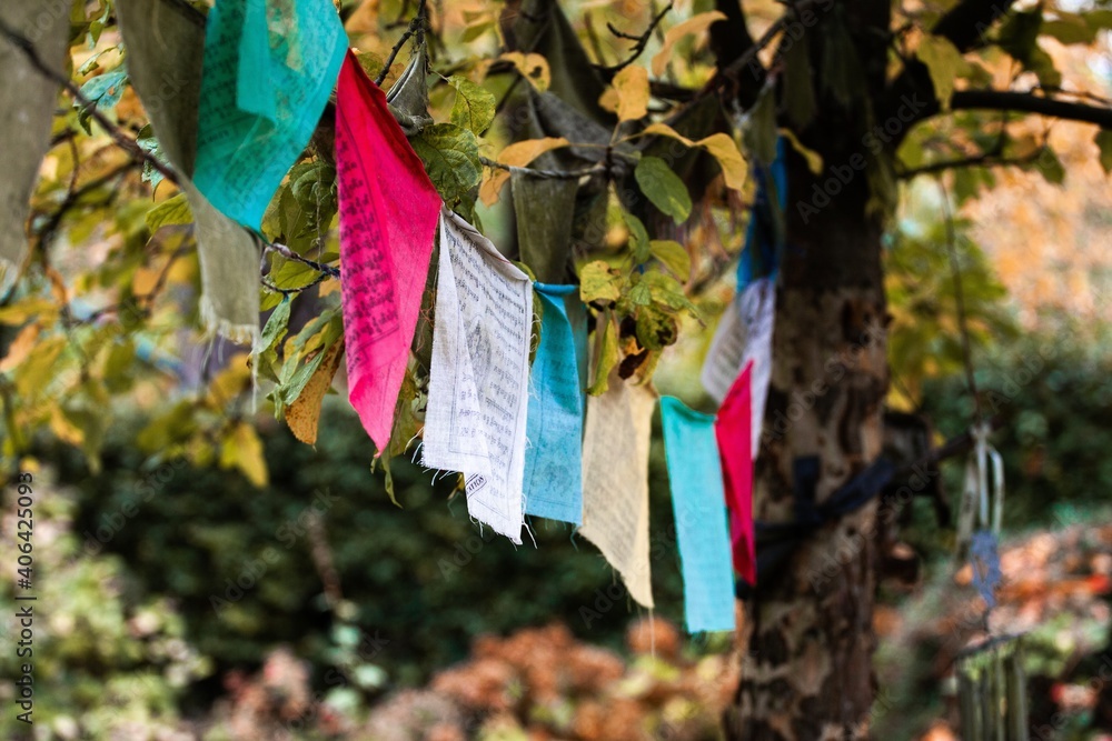 buddhist prayer flags hanging in garden buddhist prayer flags hanging in garden