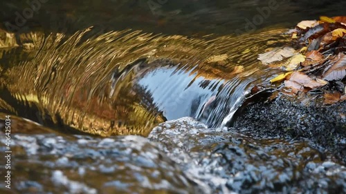 A close up shot of water smoothly flowing around a bend with fallen leaves. photo