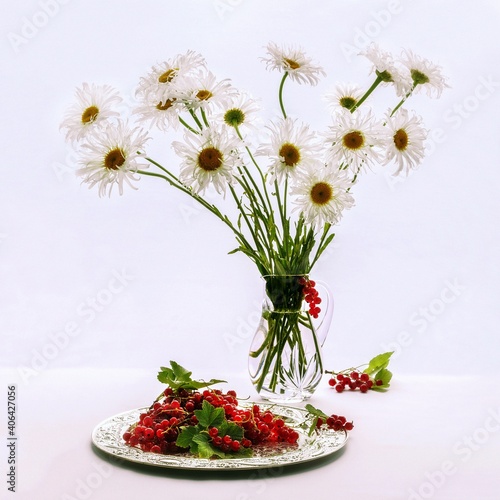 Still life with bouquet of daisy flowers