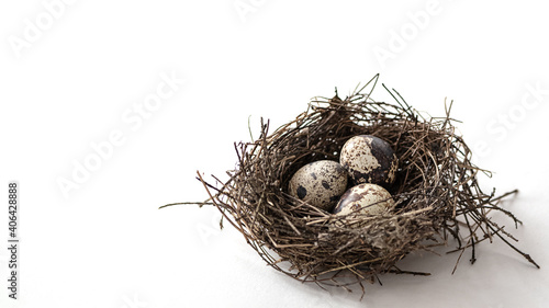 Bird's nest made of thin twigs with three spotted eggs on light background. Easter, Spring and new life concept