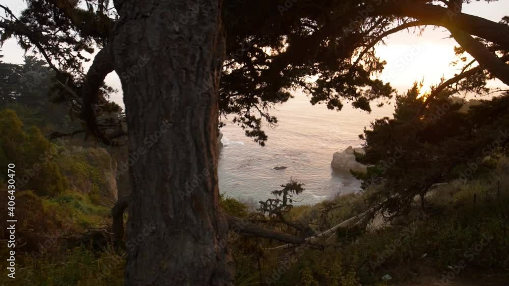 Slow motion view of the Pacific Coast through trees Slow motion view of the Pacific Coast through trees
