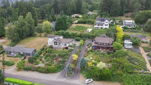 Cinematic aerial drone tracking footage of a hillside residential neighborhood, gardens, vineyard, lavender field in Burton, Vashon Island, WA during the day. photo