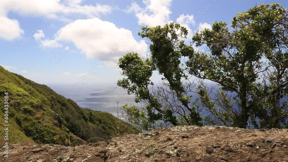 Bush on the mountains over the sea on Pitcairn Island Bush on the mountains over the sea on Pitcairn Island