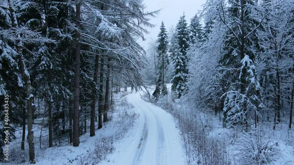 Slow aerial forward shot above snowy road surrounded by beautiful snow covered fir trees in natural landscape. Wintertime in december. Finland,Europe. Slow aerial forward shot above snowy road surrounded by beautiful snow covered fir trees in natural landscape. Wintertime in december. Finland,Europe.
