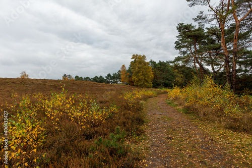 Kirchdofer Heide in Niedersachsen, Deutschland im späten Herbst