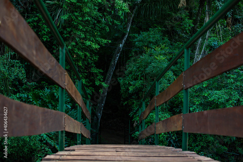 Puente hacia la selva, puende angosto de madera en un entorno natural, rodeado de naturaleza y vegetación. photo