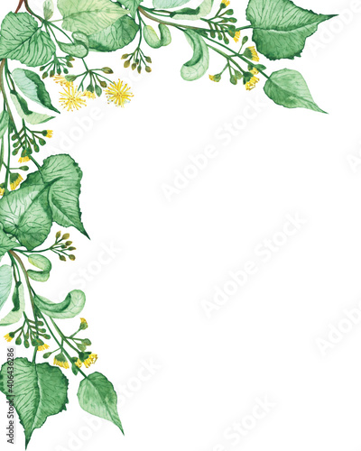 Watercolor hand painted nature herbal plant corner frame with yellow lime blossom flowers and green leaves on branches bouquet on the white background for invite and greeting card with space for text