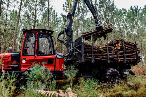 heavy vehicle used in the logging and forest maintenance industry