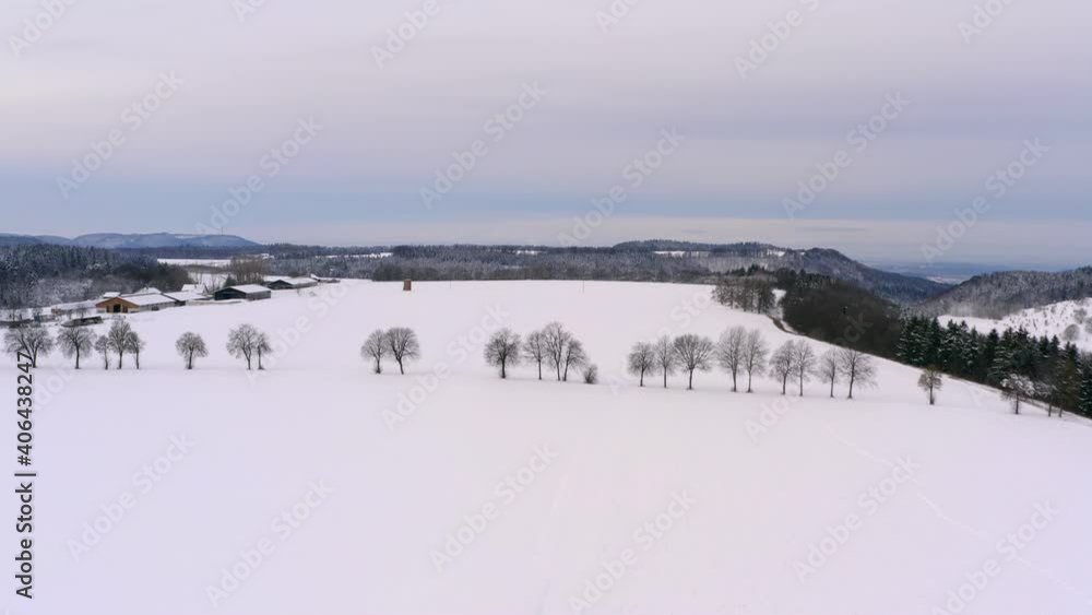 Wide winter scene - smooth forward flight over a snow white field and a row of trees Wide winter scene - smooth forward flight over a snow white field and a row of trees