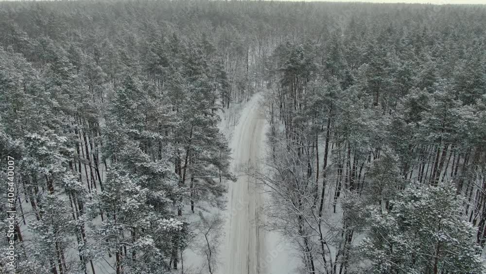 Passage of cars in the winter snowy forest Passage of cars in the winter snowy forest