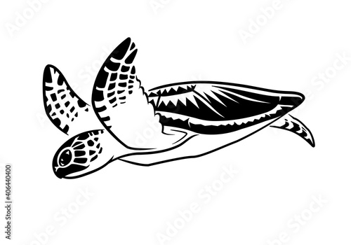 graphic sea turtle swimming
