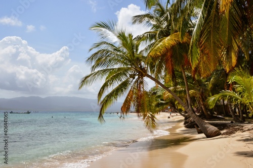 Fototapeta Naklejka Na Ścianę i Meble -  Palm trees and pristine beaches on the San Blas Islands in Panama