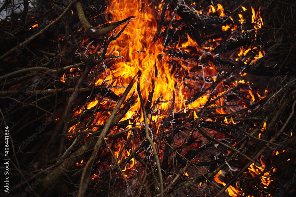 Bonfire in the Canadian wilderness. Bonfire in the Canadian wilderness.