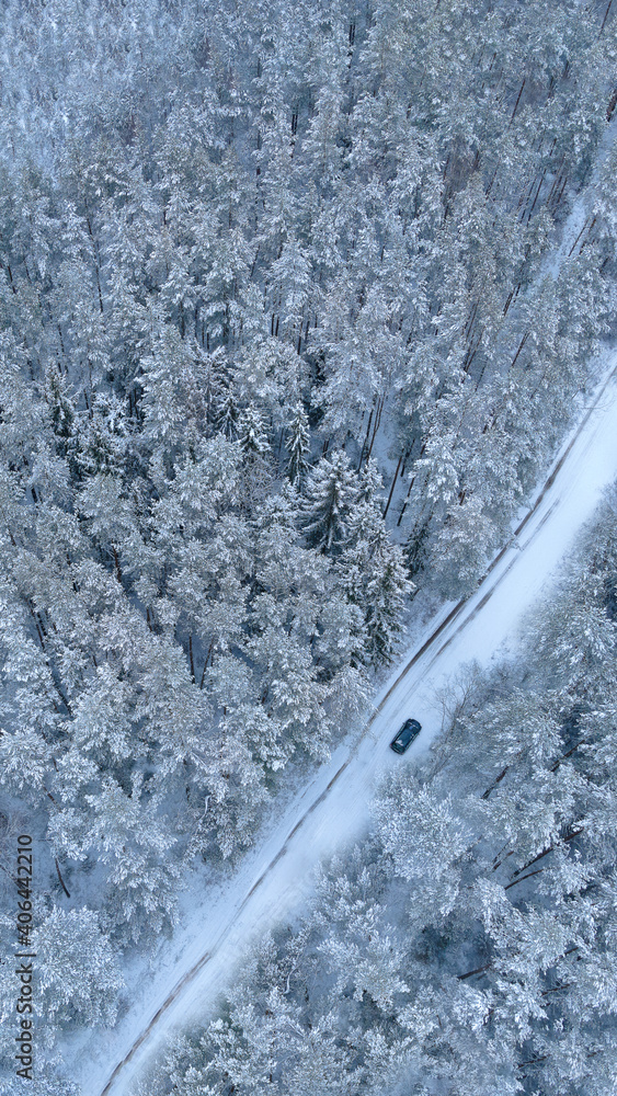 snow-covered road in the middle of a winter forest tops of trees in the snow from a drone snow-covered road in the middle of a winter forest tops of trees in the snow from a drone