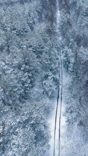 snow-covered road in the middle of a winter forest tops of trees in the snow from a drone
