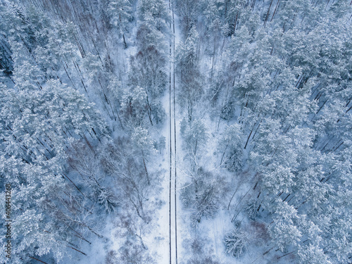 snow-covered road in the middle of a winter forest tops of trees in the snow from a drone