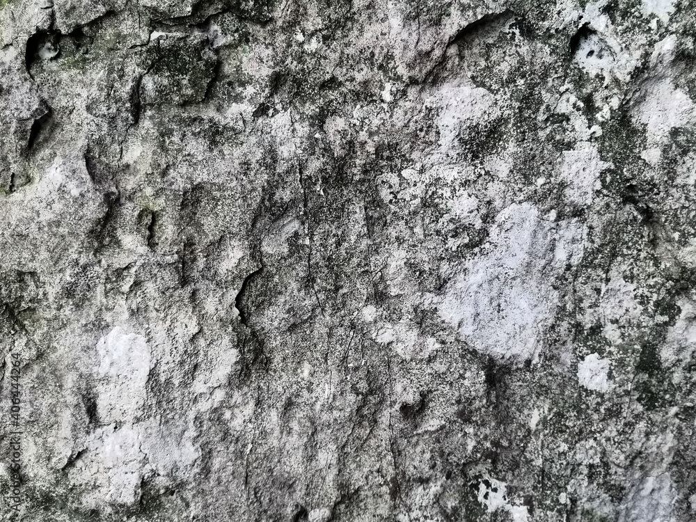 Gray Stone grunge Surface Background. Old stone.A dirty old wall with cracks and peeling paint. Gray Stone grunge Surface Background. Old stone.A dirty old wall with cracks and peeling paint.