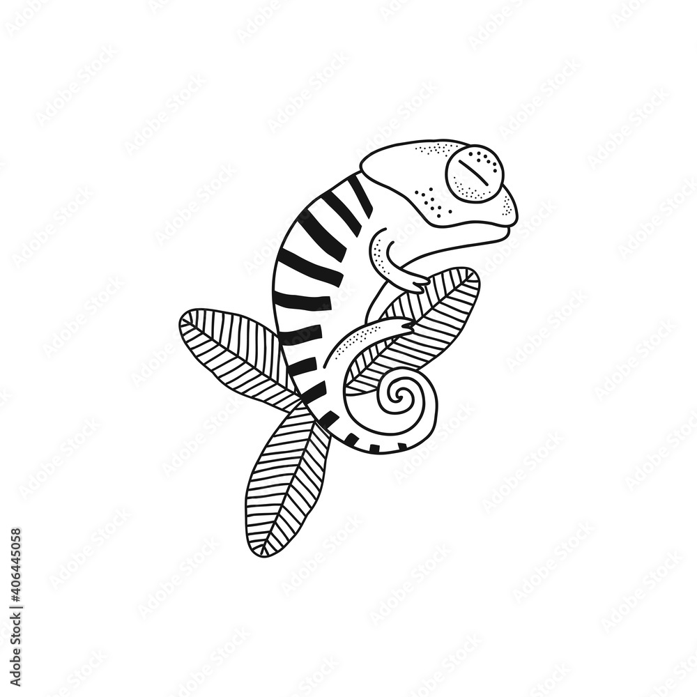 Cute stripy chameleon sleep on leaf isolated vector illustration. Jungle reptile animal black and white childish graphic drawing Perfect for one colour silk screen printing t-shirt design Cute stripy chameleon sleep on leaf isolated vector illustration. Jungle reptile animal black and white childish graphic drawing Perfect for one colour silk screen printing t-shirt design