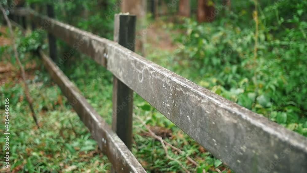 Longitudinal Wooden Fence In A Green Foliage At Forest During Daytime. - Close Up, Selective Focus Longitudinal Wooden Fence In A Green Foliage At Forest During Daytime. - Close Up, Selective Focus