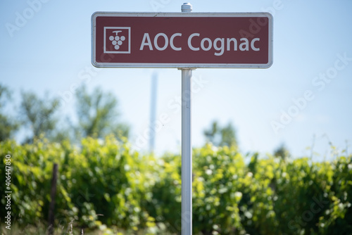 FRA - ILLUSTRATION AOC COGNAC