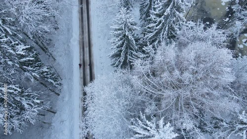 Persons Walking Through Winter Forest Road Among Spruce And Pines Near Deby Village, Poland. - Aerial Drone Shot  photo