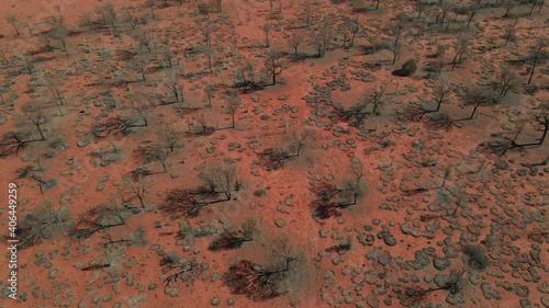 Bloodwood Trees, Bush And Shrubs Growing In Semi-Arid Desert Of Uluru-Kata Tjuta National Park - Red Desert In Northern Territory, Australia. - aerial photo