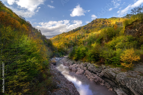 Mountain river in autumn forest. Golden autumn in the forest. Adygea, Russia