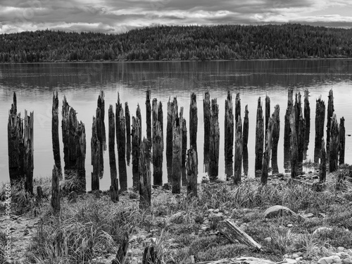 Rotting ruins of an abandoned pier in Northern British Columbia  Canada