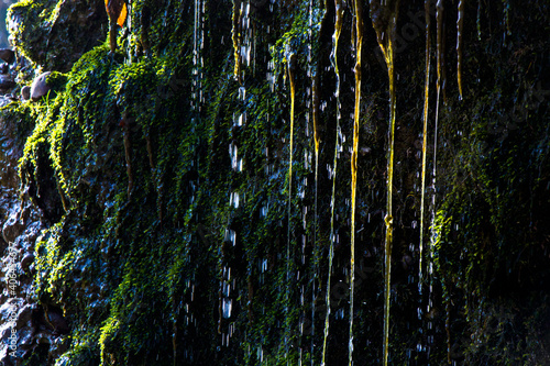 water cliffs and moss close-up
