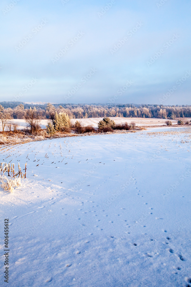 Snow and frost covered Wisconsin farm field and forest with a blue sky in January