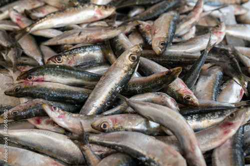 Group of fresh sardines sold at the market, seafood.