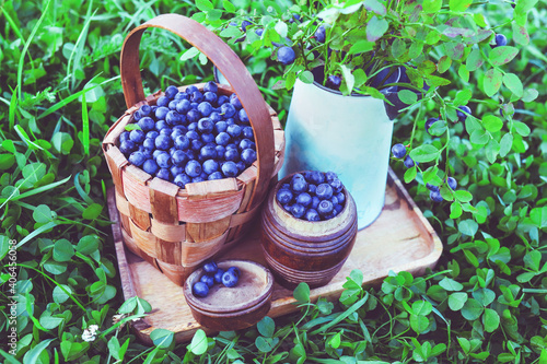 Ripe blueberries in basket on tray on background of greenery.