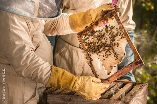 apicultor con traje de seguridad sosteniendo marco con cera y abejas 