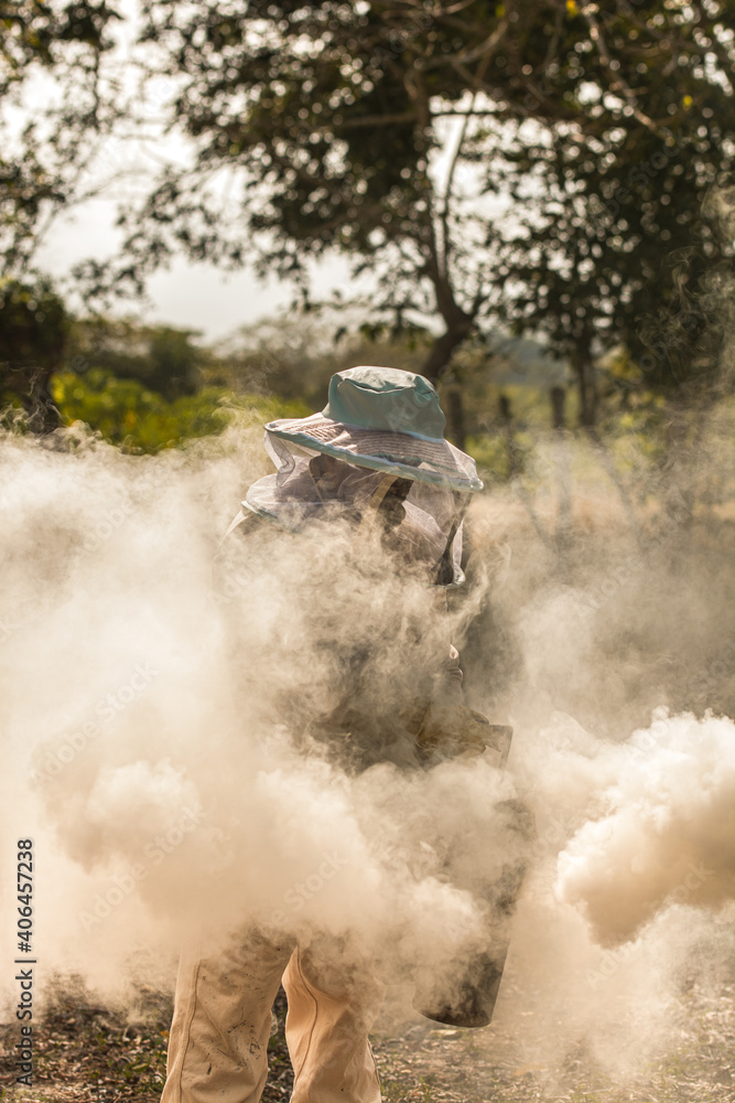 Fototapeta premium apicultor en medio de humo 