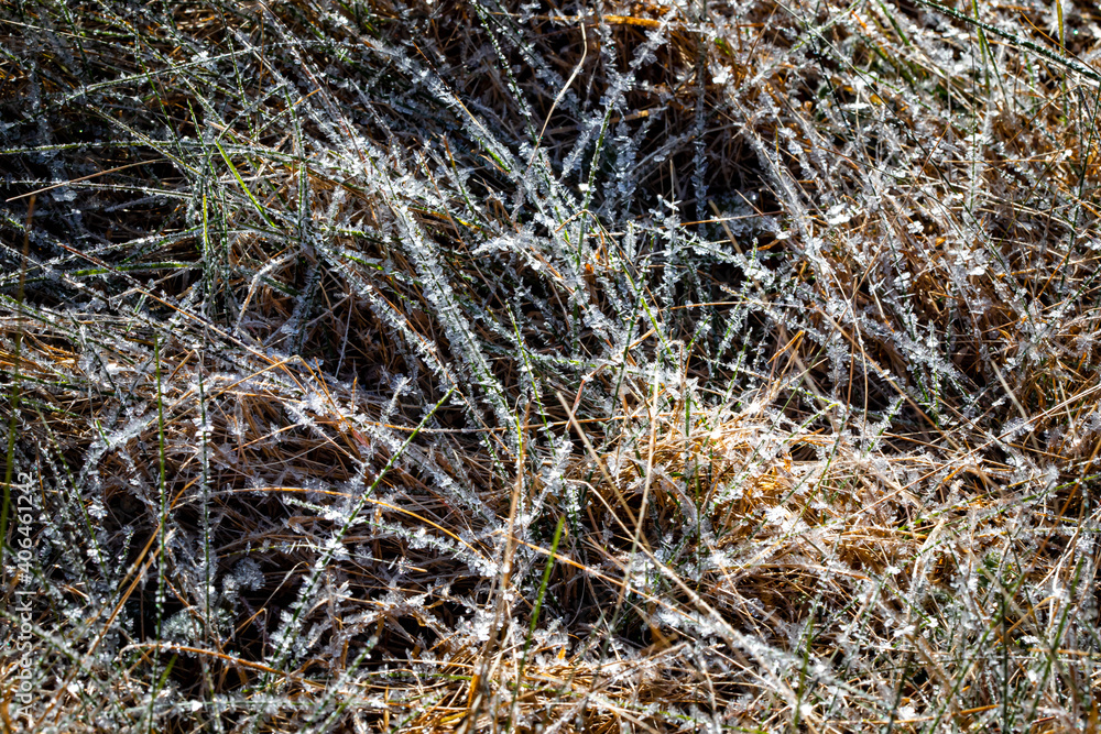 Morning field of frost covered frost Morning field of frost covered frost