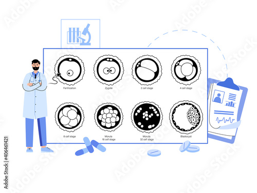 Embryo development concept