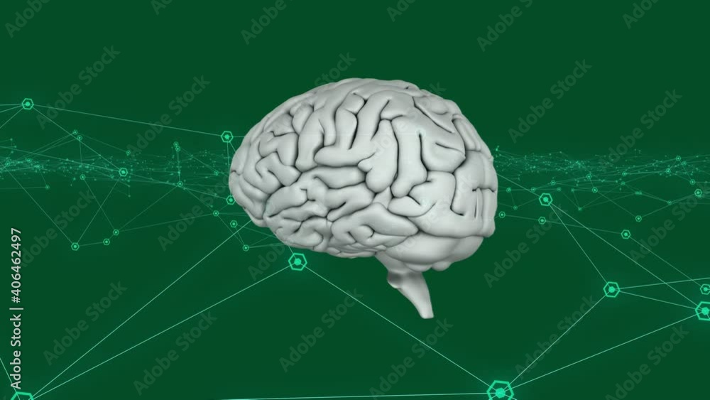 Animation of network of connections with human brain over green background Animation of network of connections with human brain over green background